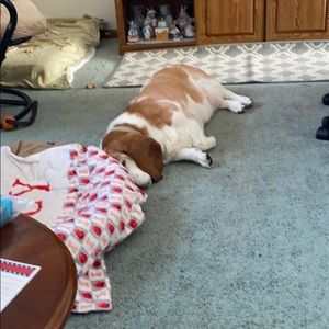 Meet your Posher, Thomas